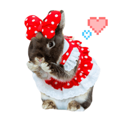 ayumi_20250822215111