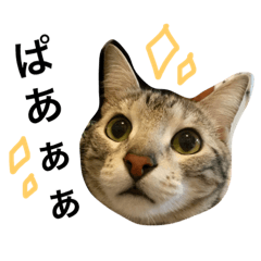 ubunyan2