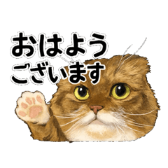 うちのそら第二段