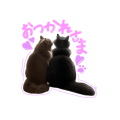 betty_20250824180648