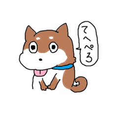 Shiba inu Coro