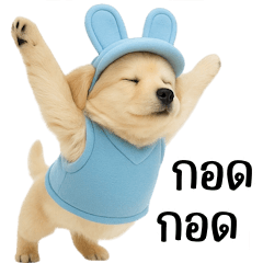 Golden Retriever with Bunny Ears