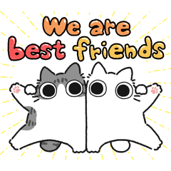 Silver tabby & white chubby cat (Friend)