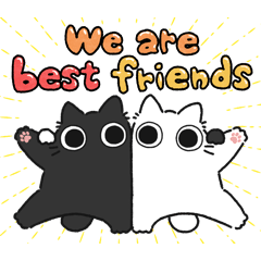 Black chubby cat (Friend)