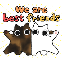 Tortoiseshell chubby cat (Friend)