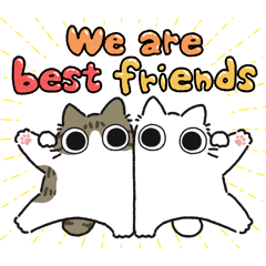 Brown tabby & white chubby cat (Friend)