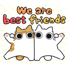 Red tabby & white chubby cat (Friend)