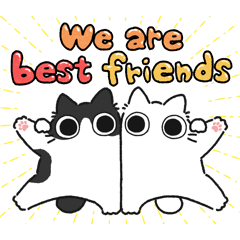 Black & white chubby cat (Friend)