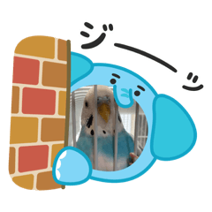 Sekiseiinnkonosoratyann