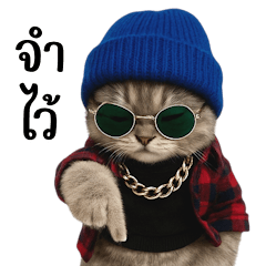 Adorable Mafia Tabby Cat (BIG)