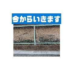 asuka_20250824202354