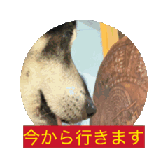 Emirin_20250824205645