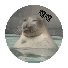 絕對不要點進去