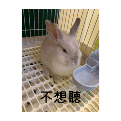 米露生活日常（大合集1）