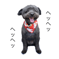 YUKKI_20250824193551