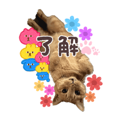 kiki_20250824195949