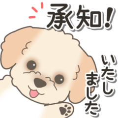 やさしいマルプー【仕事＆連絡】