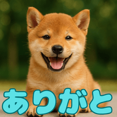 16 types of dog stamps