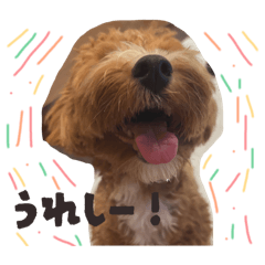 chikuwa_20250824093041