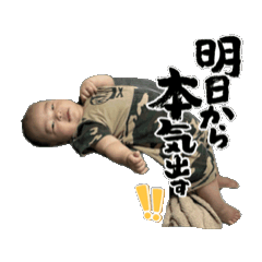 koara_20250824233046