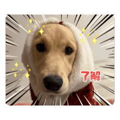 kiki_20250825101406