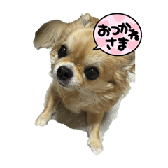 KANA_20250824232409