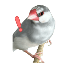 Psuke_20250824233830