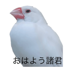 Namerikusakusa_20250824234545