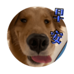 吳雨萱2.0