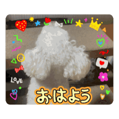 miki_20250823232613