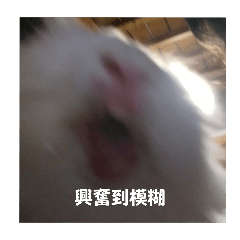 布丁two(第一彈）