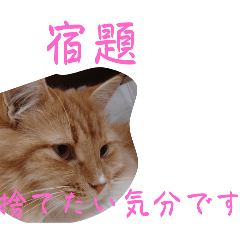 Kaho_20250822194805