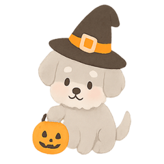 Fluffy Schnauzer Autumn & Winter