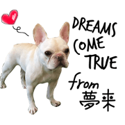 Dog stickers ~Muccu ver.~