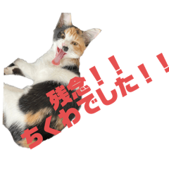 chikuwa_20250822222706