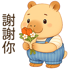 水豚君日常大貼圖