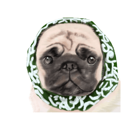 patezou_20250822225532