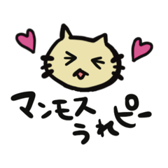 Cat's daily life in JP