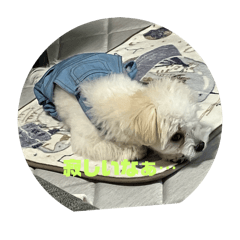 WOMAME_20250823201638