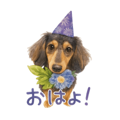 Nanami_20250824021141