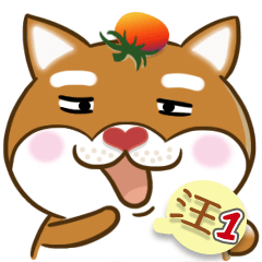 Tomato ShibaInu Daily Part 1