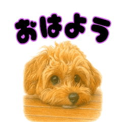 Ten-chans Original Stickers