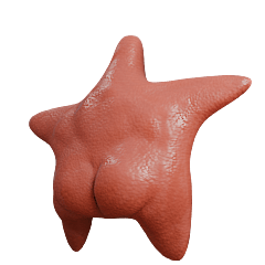 アルゼンチンのヒトデ