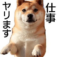 仕事がデキる柴犬【面白い・ネタ・社畜】