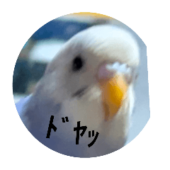 hikari_20250824145952