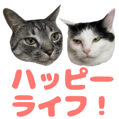Tomatotouyunosutannpu