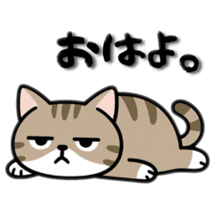 nanana_20250823172552