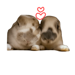 Hinarun_20250823180927