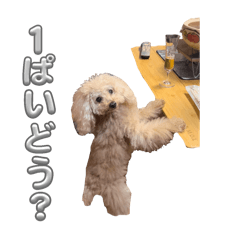 KARIN_20250823234650