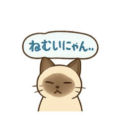 aiman_20250824201751